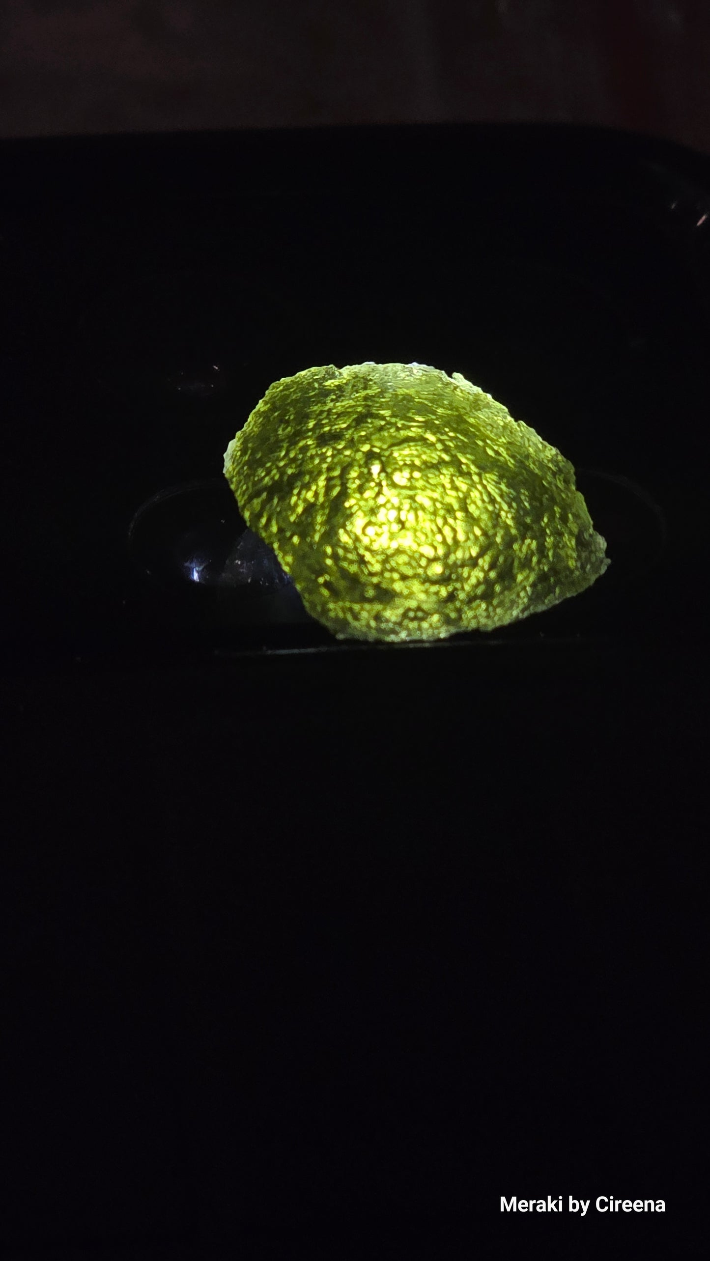 2.74 gram Moldavite