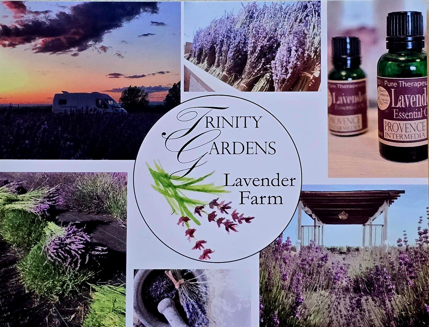 Trinity Gardens Lavender Farm Collection