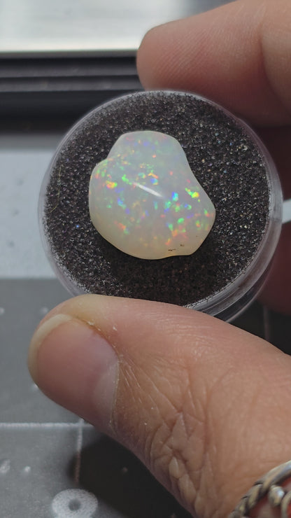 Welo Opal Freeform Carving with full spectrum holographic Prism pattern - 8 ct